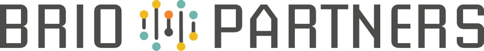 BrioPartners logo
